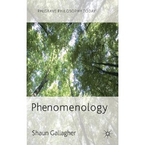 Phenomenology